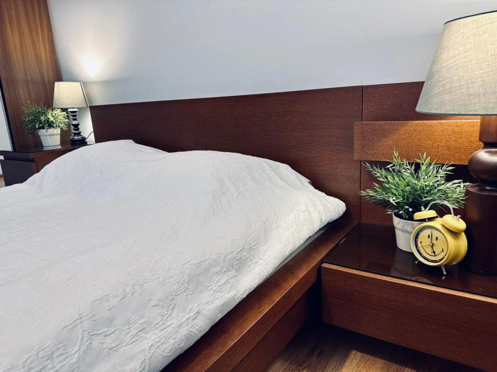 Apartament Przy Rynku Apartment Posen