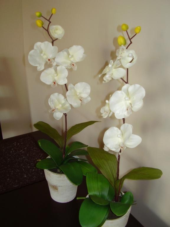 Apartament Przy Rynku *